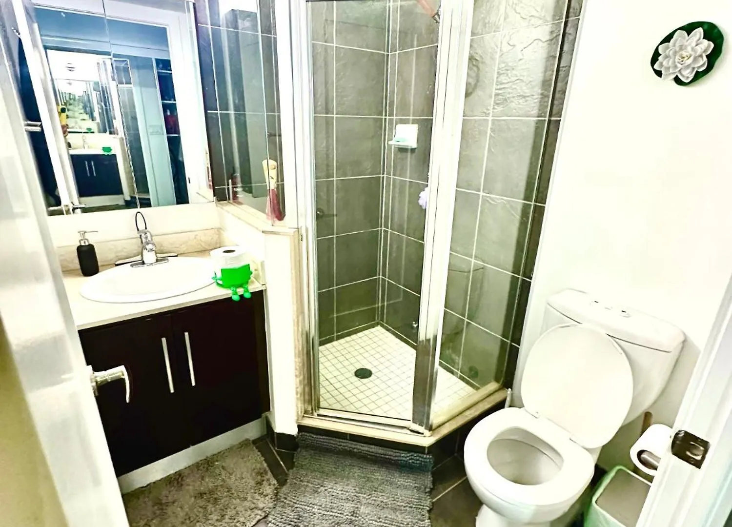 Core Downtown Toronto-3 Bedrooms-2 Bathrooms-Washrooms-Free Parking-Cn Tower-Ripleys Museum-Blue Jays Stadium In Front-Indoor Gym-Swimming Pool-Jacuzzi Sauna-Filter Drinking Water-Wifi 0*, Toronto Canadá